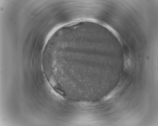 X0000057101102200510071930