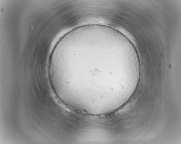 X0000057101104200510071930