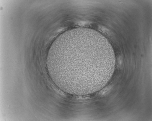 X0000057101105200510071930