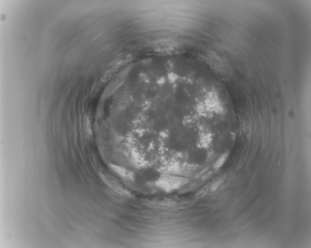 X0000057101106200510071930