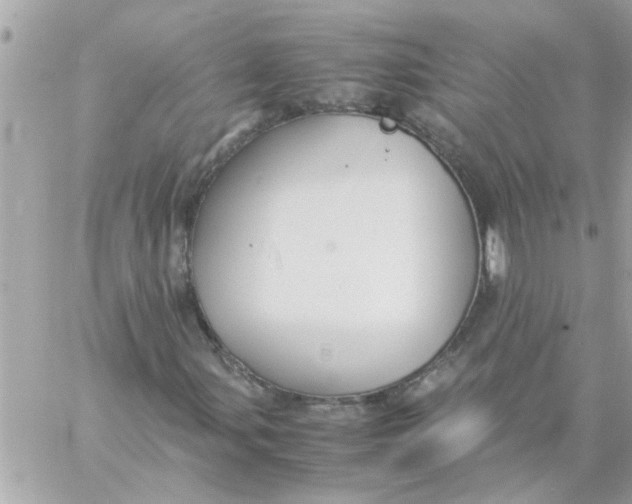 X0000057101107200510071930