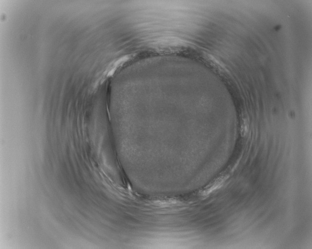 X0000057101108200510071930