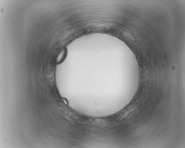 X0000057101109200510071930