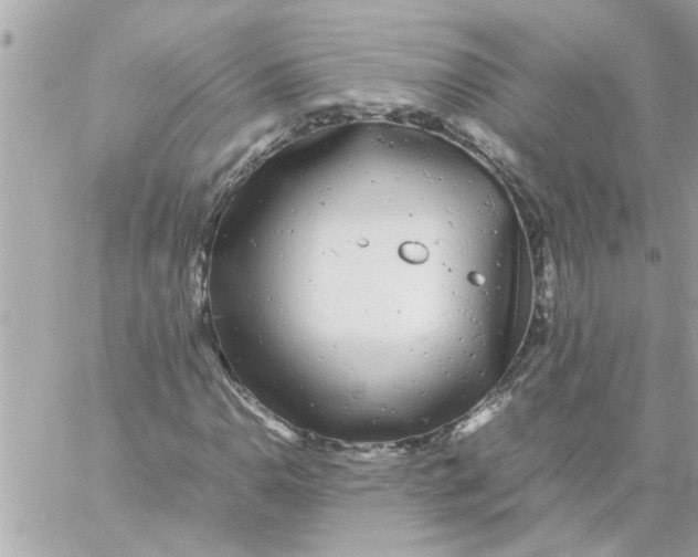 X0000057101110200510071930