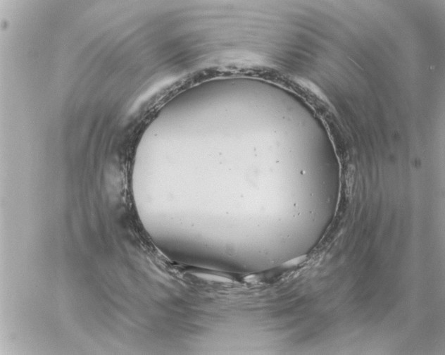 X0000057101112200510071930