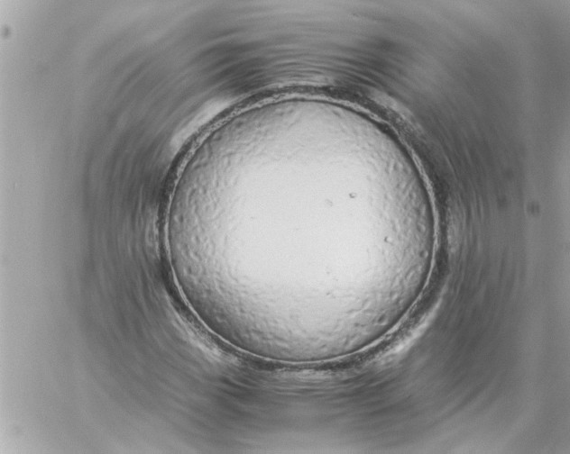 X0000057101113200510071930