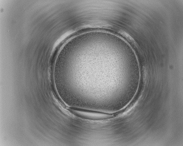 X0000057101114200510071930