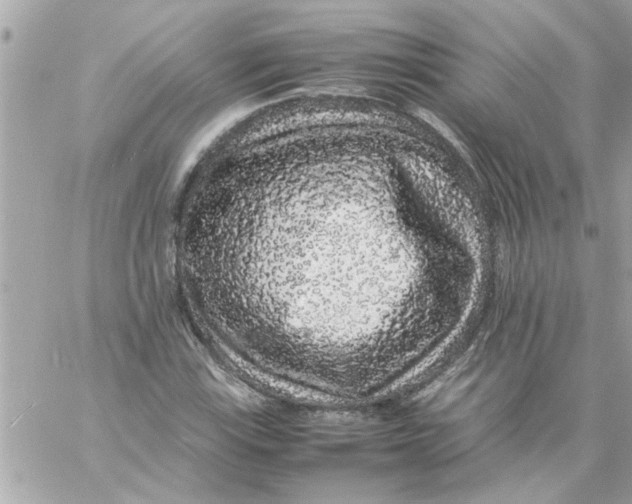 X0000057101115200510071930