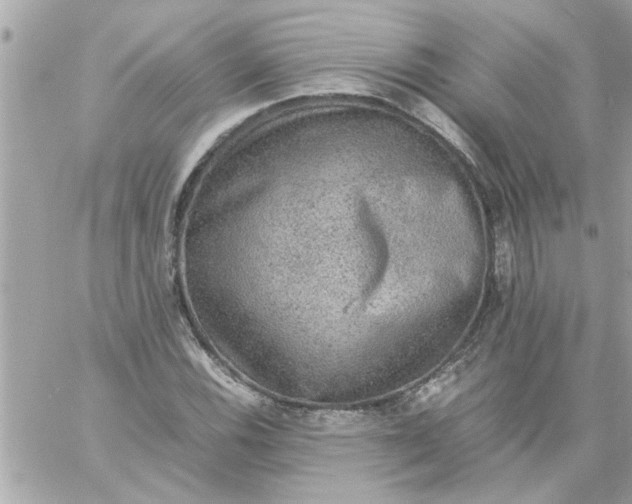 X0000057101116200510071930