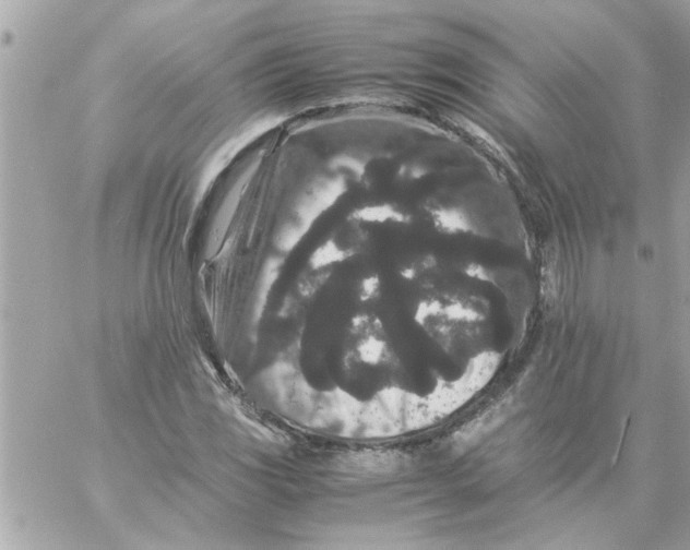 X0000057101117200510071930