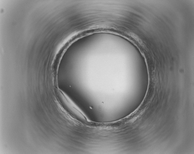 X0000057101118200510071930