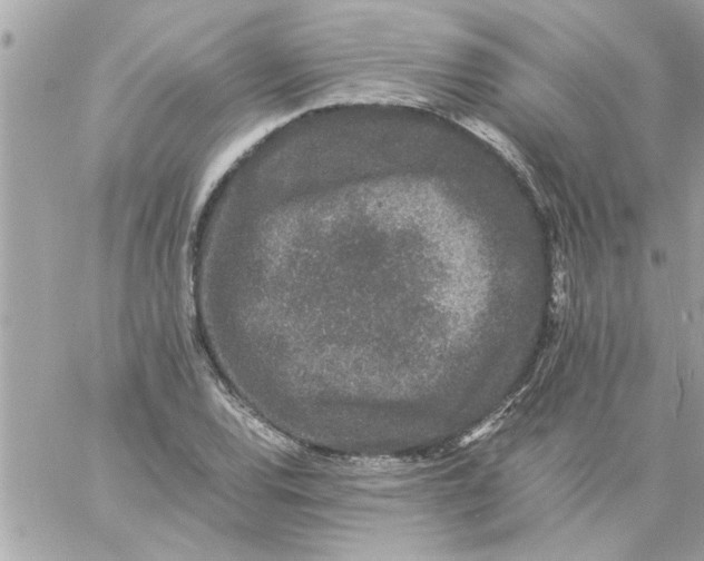 X0000057101120200510071930