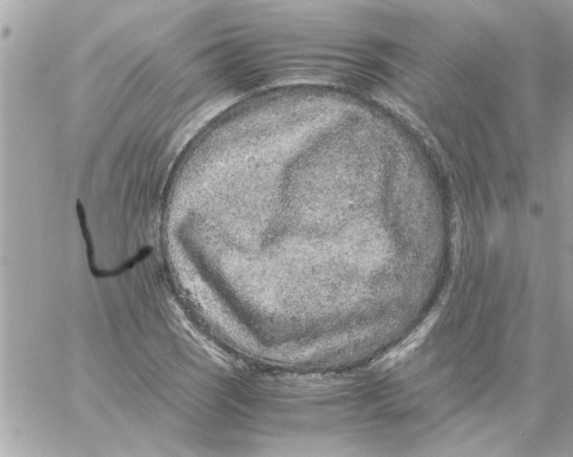 X0000057101121200510071930