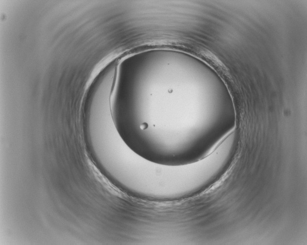 X0000057101122200510071930