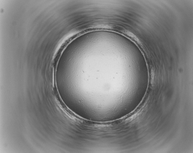 X0000057101123200510071930