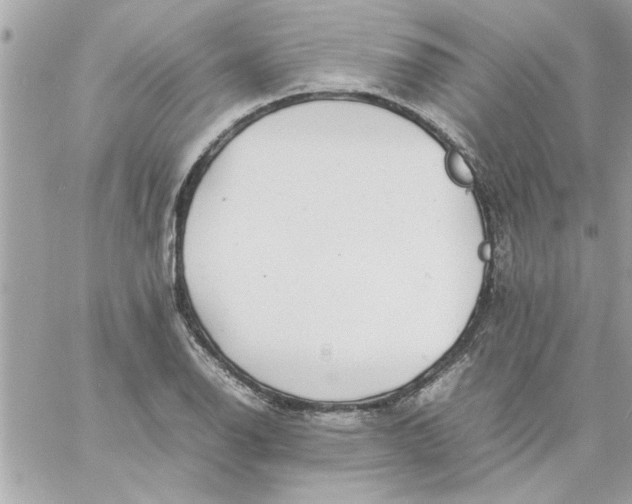 X0000057101126200510071930