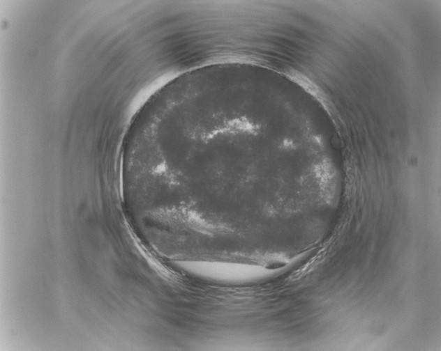 X0000057101127200510071930