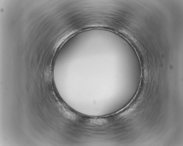 X0000057101129200510071930