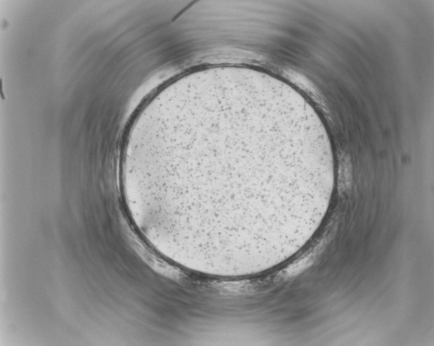 X0000057101130200510071930