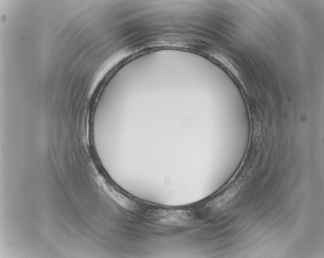 X0000057101131200510071930