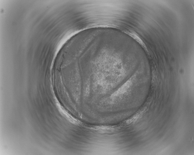 X0000057101132200510071930