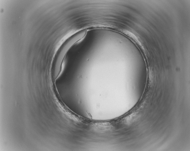 X0000057101133200510071930