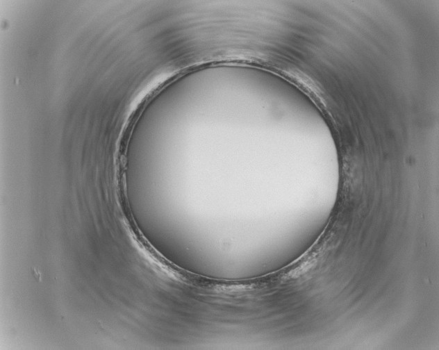 X0000057101135200510071930