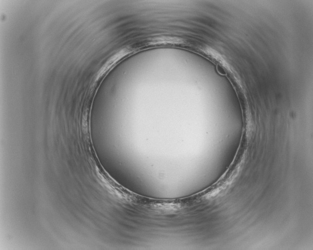 X0000057101137200510071930