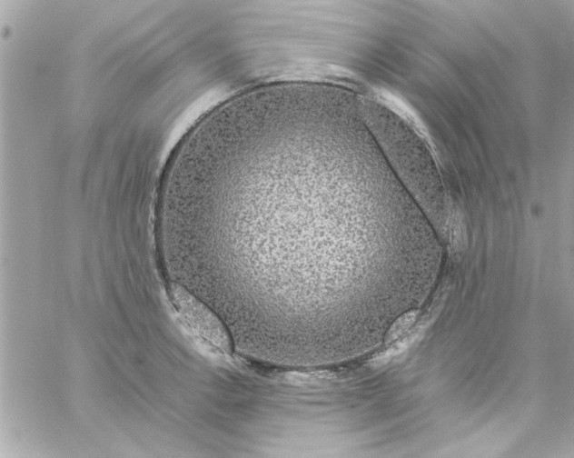 X0000057101138200510071930