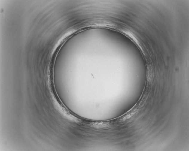 X0000057101139200510071930