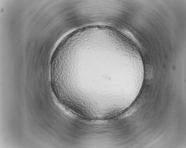 X0000057101140200510071930