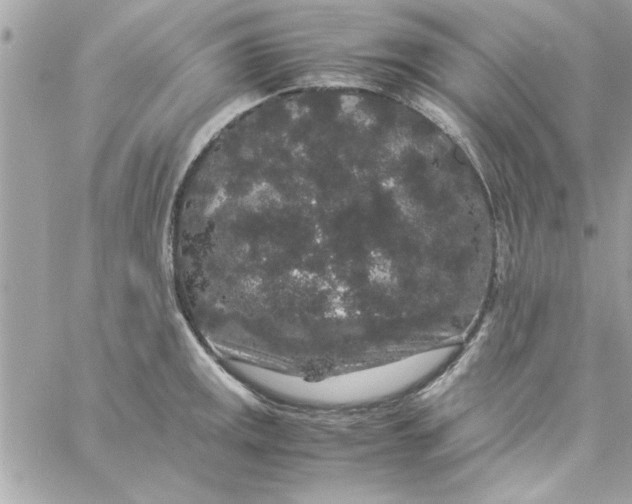 X0000057101141200510071930