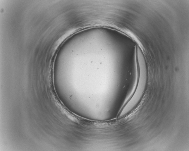 X0000057101142200510071930