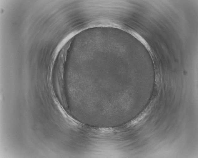 X0000057101144200510071930