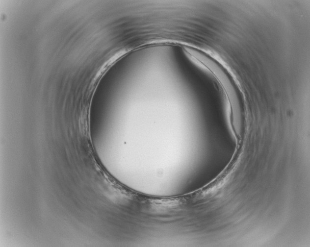 X0000057101145200510071930