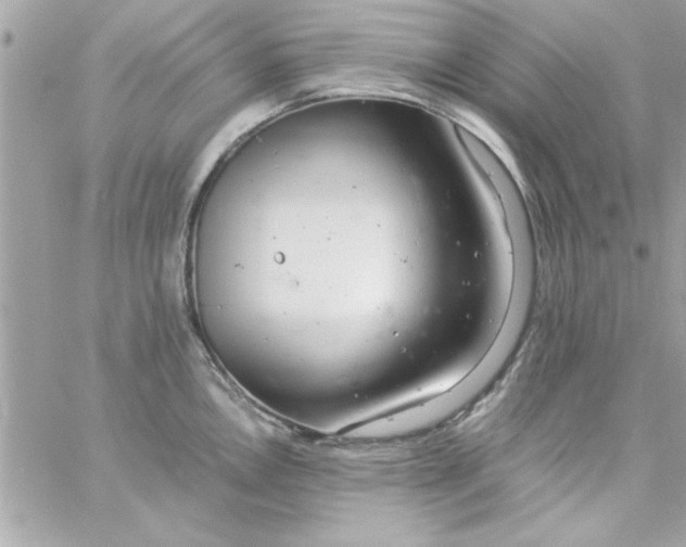 X0000057101146200510071930