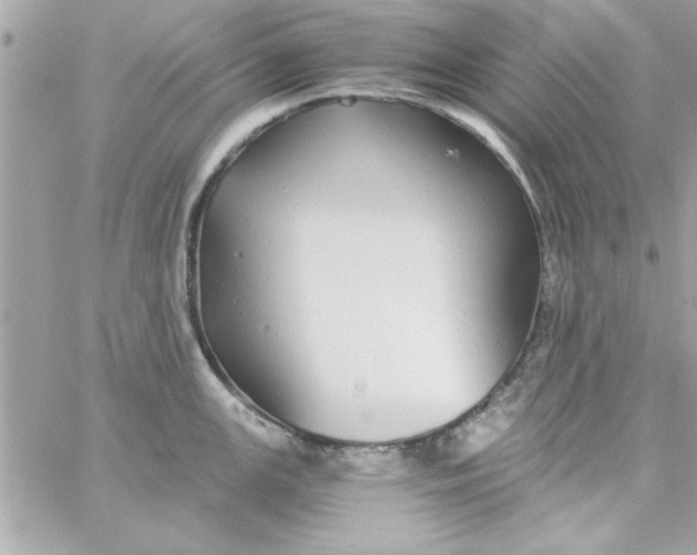 X0000057101147200510071930