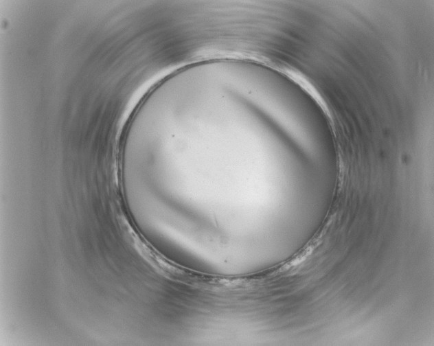 X0000057101148200510071930