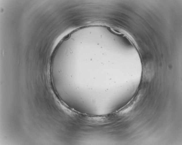 X0000057101149200510071930