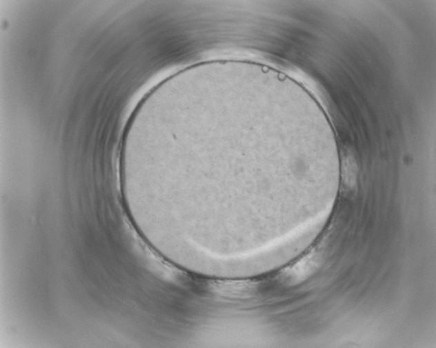 X0000057101150200510071930