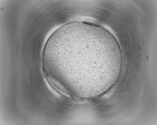 X0000057101152200510071930