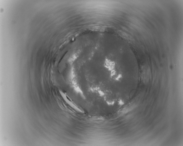 X0000057101154200510071930