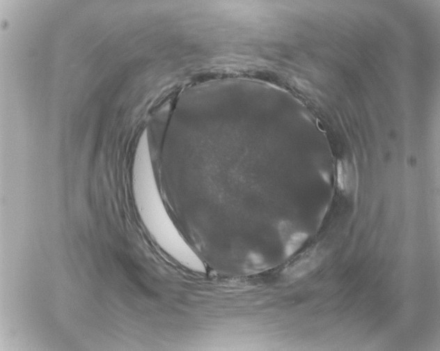 X0000057101155200510071930