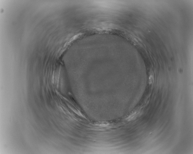 X0000057101156200510071930