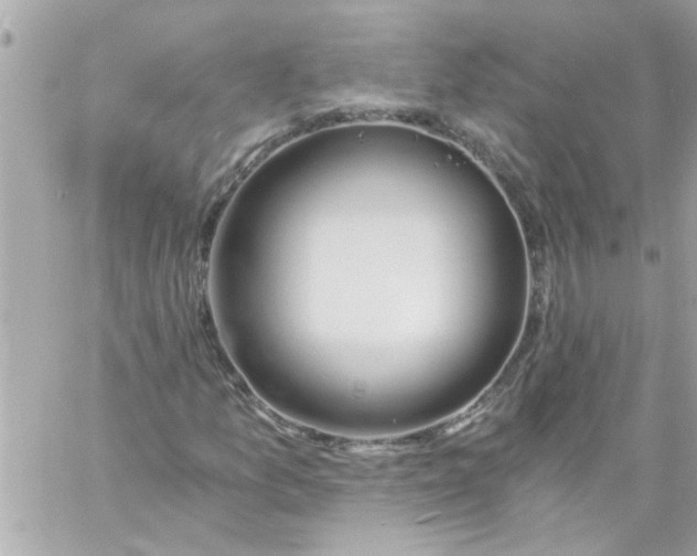 X0000057101157200510071929