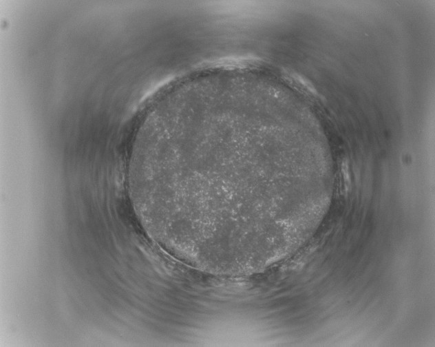 X0000057101158200510071929