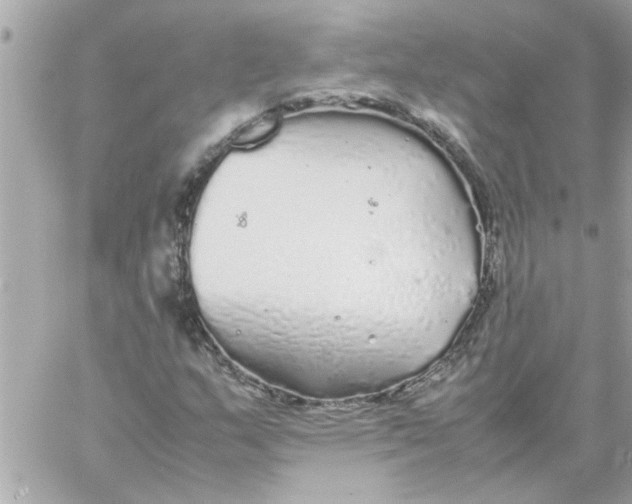 X0000057101159200510071929