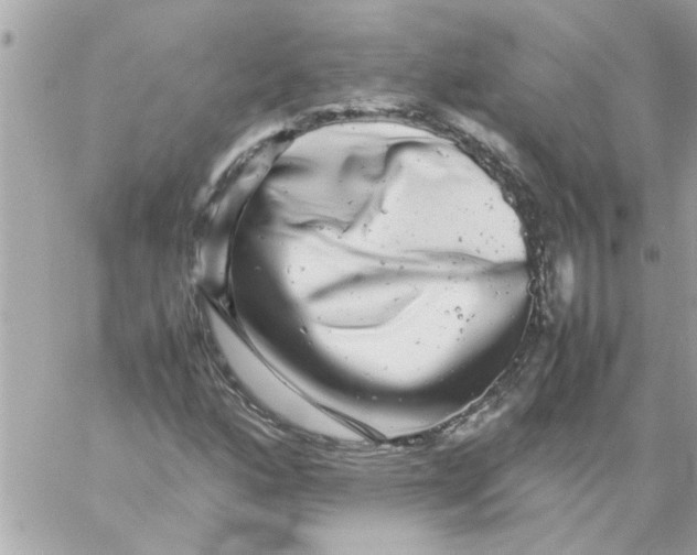 X0000057101160200510071929