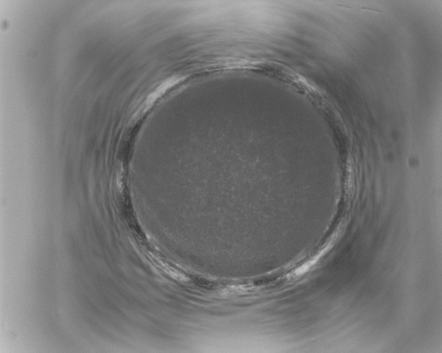 X0000057101161200510071929