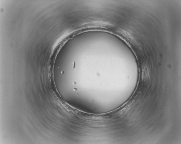 X0000057101164200510071929